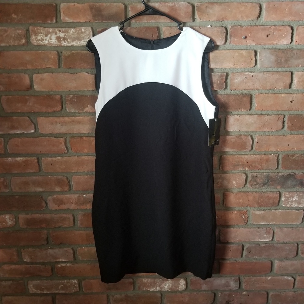 Zara Black and White Dress